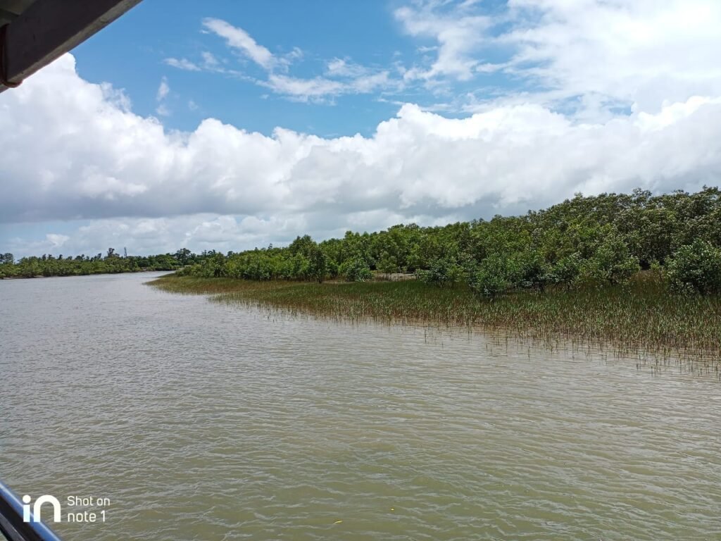 Sundarban Tour